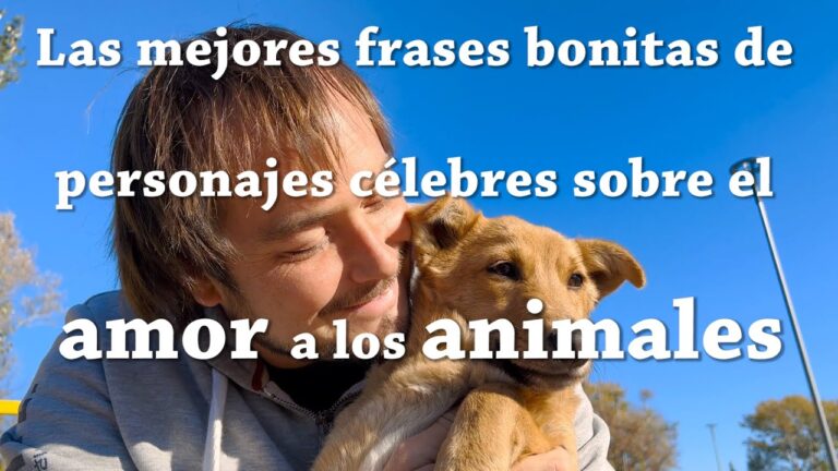 ¡Descubre 50 emotivas frases para cuidar a los animales y crear